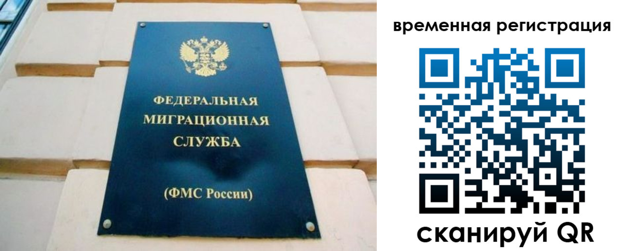прописка гарантия в Лесосибирске